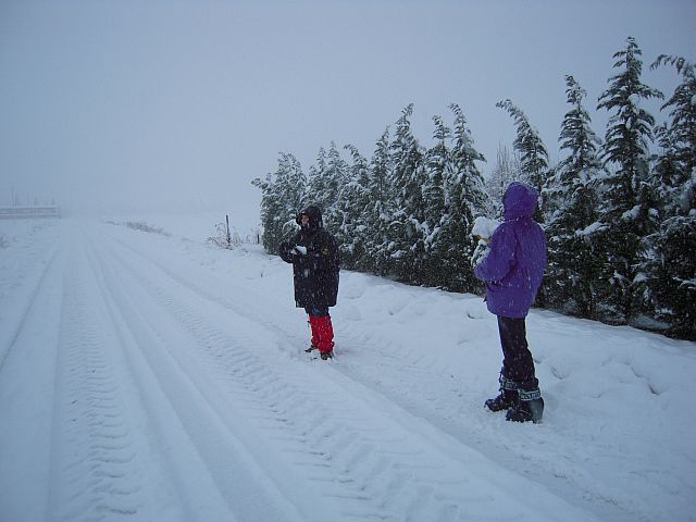 tanta neve 2012