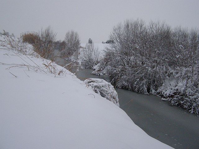 tanta neve 2012