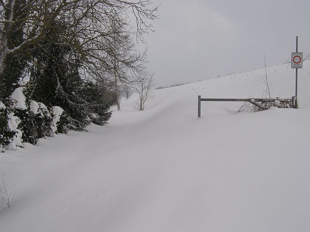 tanta neve 2012