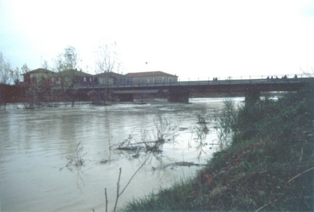 Lamone in piena. Anno 1991